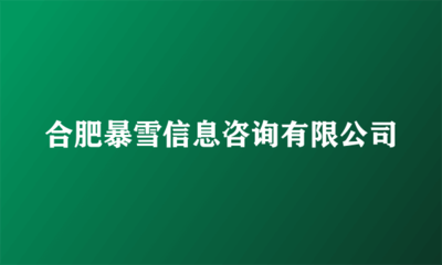 合肥暴雪信息咨询 金融信息技术外包领域的专业服务商