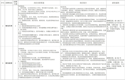 新泰市人民政府“职等你来”2025年3月金融信息技术外包岗位供需信息发布